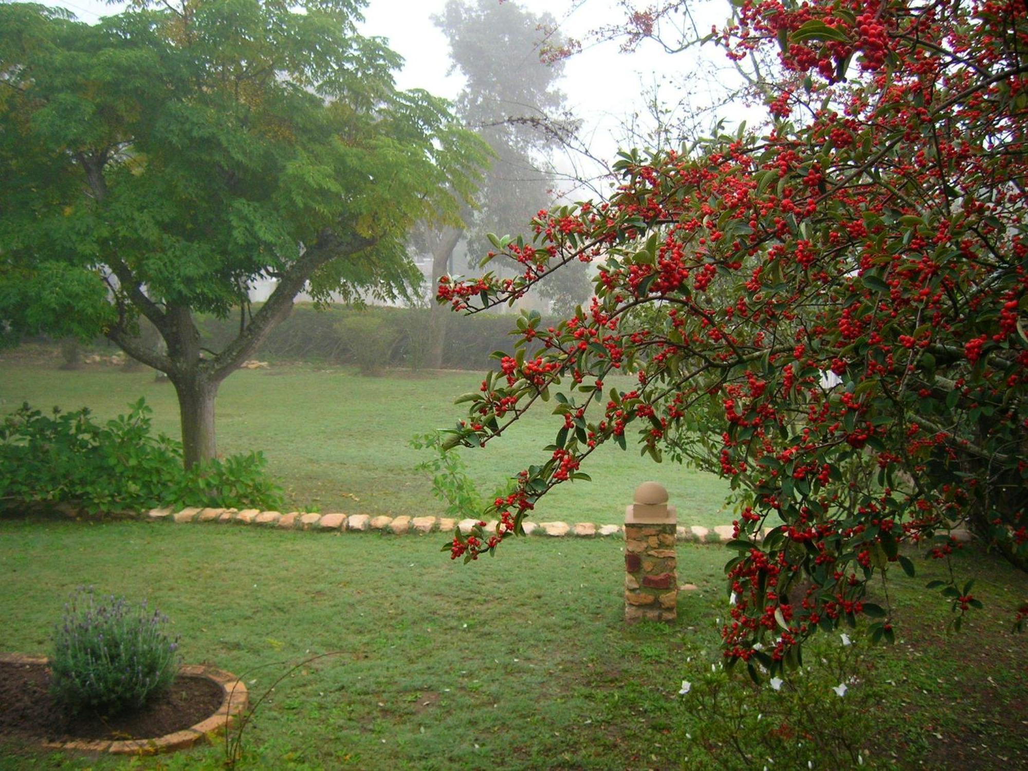 Dempsey'S Self-Catering Guest House Port Elizabeth Eksteriør bilde